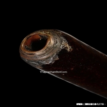 ตะกรุดมหาระงับหลวงปู่ใจ วัดเสด็จ จ.สมุทรสงคราม