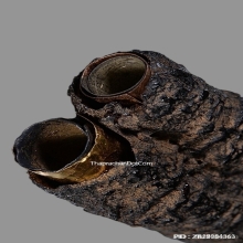 ตะกรุดสาริกาสามกษัตริย์หลวงพ่อกลั่น วัดพระญาติ