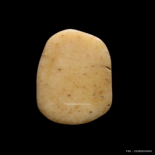 เสือกระดูกแกะหลวงพ่อเรือน วัดบางเหี้ย จ.สมุทรปราการ