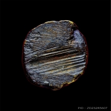 กัณหาชาลี หลวงพ่อคล้อย วัดบางไกร พิมพ์นิยม3ขา นิยมสุด