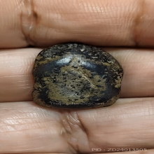 พระคงหลวงปู่พริ้งวัดบางปะกอก