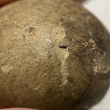 ลูกอมเนื้อดินขุยปู (แบบเปลือย) หลวงพ่อปลอด วัดในปากทะเล