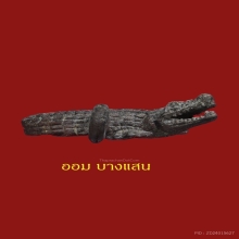 จระเข้จันทร์เพ็ญ(ศรนารายณ์)หลวงพ่อสนิท วัดลำบัวลอย พิมพ์ใหญ่