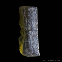 หลวงปู่ศุข วัดปากคลองมะขามเฒ่า