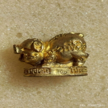 หมูทองมหาลาภ 