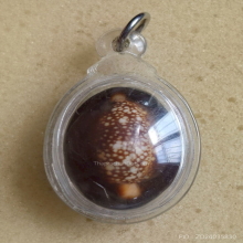 เบี้ยแก้ หลวงพ่อเกษม เขมโก รุ่นสุริยุปราคา ปี 38