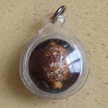 เบี้ยแก้ หลวงพ่อเกษม เขมโก รุ่นสุริยุปราคา ปี 38