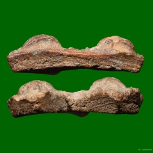 ขุนแผนบ้านกร่าง พรายคู่ พิมพ์หน้ามงคล