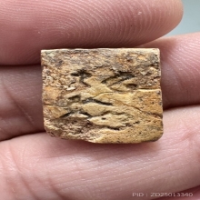 วัดปากน้ำ รุ่น 3