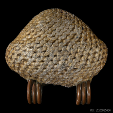 >>>..,เบี้ยแก้ อ.เจือ วัดกลางบางแก้ว พร้อมบัตรเซอร์ฯ