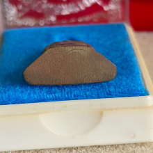 รูปเหมือนปั๊ม หลวงพ่อเดิม ุวัดหนองบัว นครสวรรค์ ปี 36