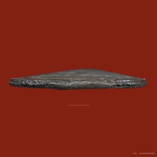 เหรียญหล่อก้นแมลงสาป หลวงพ่อขัน วัดนกกระจาบ เนื้อสัมฤทธิ์