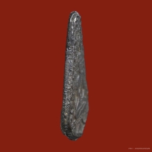 เหรียญหล่อก้นแมลงสาป หลวงพ่อขัน วัดนกกระจาบ เนื้อสัมฤทธิ์