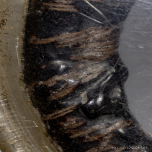 แหวนพิรอด หลวงปู่ยิ้ม วัดหนองบัว (พันสายสิญ)