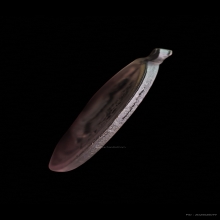 เหรียญรุ่นแรกหลวงปู่โต๊ะ ปี 2510 เนื้อทองแดงรมดำ ไม่ตอกโค๊ต