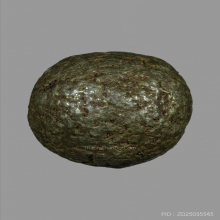 ลูกอม เมฆสิทธิ์ พระครูลืม วัดอรุณราชวราราม