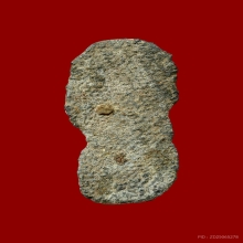 พระนาคปรกหลังลายผ้า พิมพ์เล็ก เนื้อชินเงิน กรุวัดราชบูรณะ 