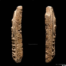 พระสมเด็จบางขุนพรหมพิมพ์ฐานคู่