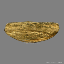 รูปเหมือนปั้มหลวงพ่อเขียว อินทมุนี วัดหรงบล ปี2513 (รุ่นแรก)