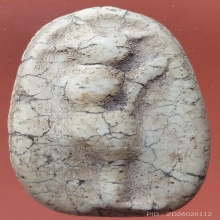 พระกรุ วัดพลับ พิมพ์วันทาเสมา 