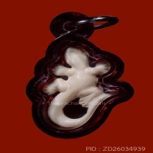 จิ้งจกหลวงพ่อหน่าย วัดบ้านแจ้ง