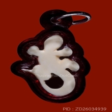 จิ้งจกหลวงพ่อหน่าย วัดบ้านแจ้ง