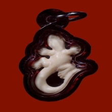 จิ้งจกหลวงพ่อหน่าย วัดบ้านแจ้ง