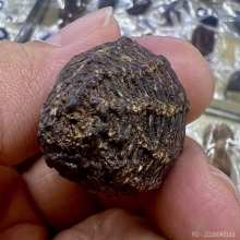 หมากทุยถักเชือกลงรัก แห้งเก่ามาก ลูกใหญ่ สภาพดี