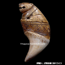 เขี้ยวเสือหลวงพ่อนก วัดสังกะสี ยุคต้นเก่ามาก