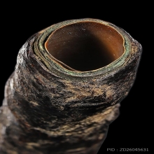 ตะกรุดพอกครั่ง หลวงพ่อทองศุข ยาว2.5นิ้วสภาพสวยเนื้อจัดชัดเจน