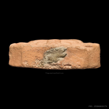 หลวงพ่อปาน วัดบางนมโค พิมพ์ไก่หางรวม สวยเดิมจริงๆ