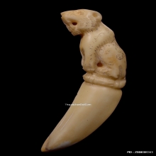 เสืองาแกะ หลวงพ่อคง วัดวังสรรพรส