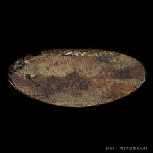 ชินราชอินโดจีน ปี2485 พิมพ์ต้อหุ่นยนต์(นิยม)ไม่มีโค๊ตสภาพสวย