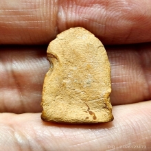 พระรอด กรุมหาวัน จ.ลำพูน พิมพ์ต้อ มีหน้าชัดๆ