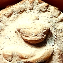 พระรอด กรุมหาวัน จ.ลำพูน พิมพ์ต้อ มีหน้าชัดๆ