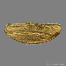 รูปเหมือนปั้มหลวงพ่อเขียว อินทมุนี วัดหรงบล ปี2513 (รุ่นแรก)