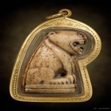 เสือหลวงพ่อสาย วัดคลองด่าน จ.สมุทรปราการ1ตัวใหญ่