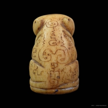 เสือหลวงพ่อสาย วัดคลองด่าน จ.สมุทรปราการ1ตัวใหญ่