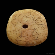 เสือหลวงพ่อสาย วัดคลองด่าน จ.สมุทรปราการ1ตัวใหญ่