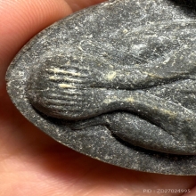 ปิดตาจัมโบ้2 เนื้อใบลาน หลวงปู่โต๊ะ วัดประดู่ฉิมพลี