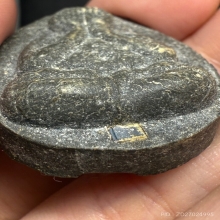 ปิดตาจัมโบ้2 เนื้อใบลาน หลวงปู่โต๊ะ วัดประดู่ฉิมพลี