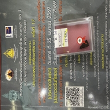 พระชัยวัฒน์ เป็งย้ง หลวงปู่โต๊ะ วัดประดู่ฉิมพลี แชมป์