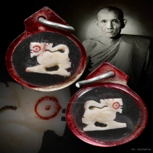 สิงห์งาแกะ หลวงพ่อกวย วัดโฆษิตาราม จ.ชัยนาท ปี21