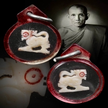 สิงห์งาแกะ หลวงพ่อกวย วัดโฆษิตาราม จ.ชัยนาท ปี21