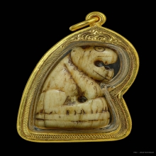 เสือหลวงพ่อสาย วัดคลองด่าน จ.สมุทรปราการ2