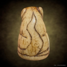 เสือหลวงพ่อสาย วัดคลองด่าน จ.สมุทรปราการ2