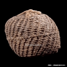 ลูกกระดอนสะท้อน หลวงพ่อรุ่ง วัดท่ากระบือ จ.สมุทรสาคร