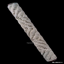 ตะกรุดมหาจักรพรรดิ์หลวงปู่ดู่ วัดสะแก จ.พระนครศรีอยุธยา