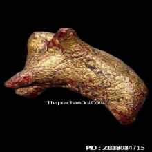 วัวธนูครูบานันตา วัดทุ่งม่านใต้ ปี2500