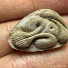 ปิดตามหาเสน่ห์ เนื้อเกสร หลวงปู่โต๊ะ วัดประดู่ฉิมพลี